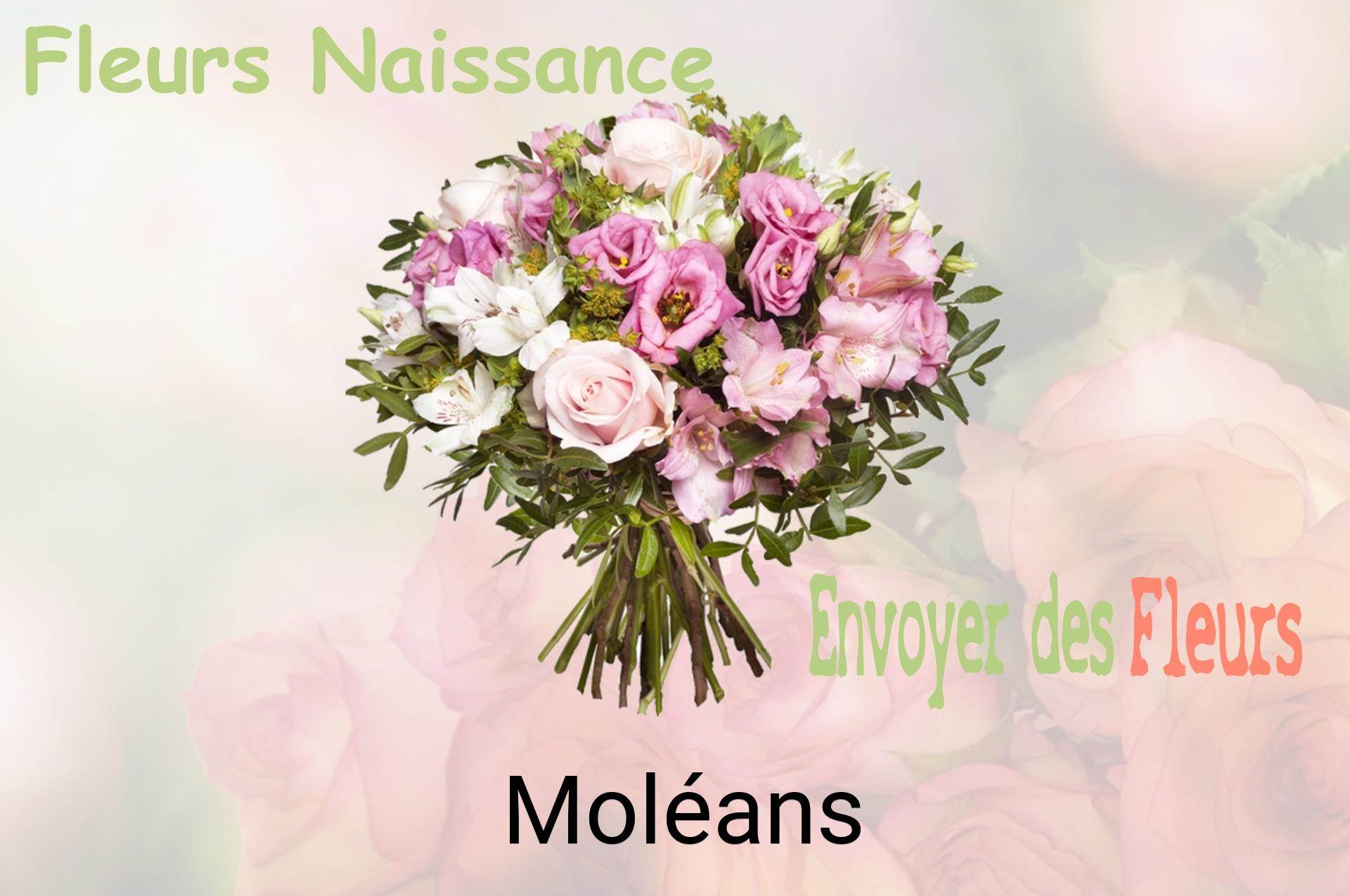Bouquet de fleurs de naissance livré à Moléans