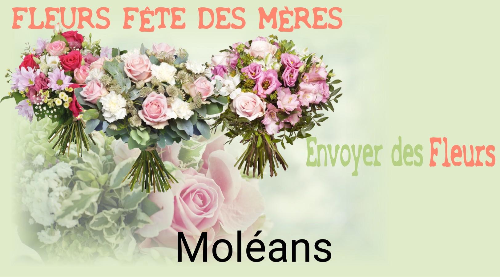 Bouquet de Fête des Mères livré à Moléans